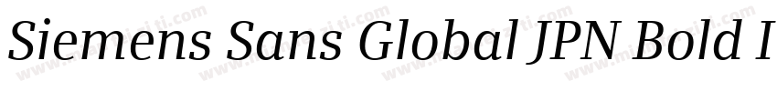 Siemens Sans Global JPN Bold Italic字体转换